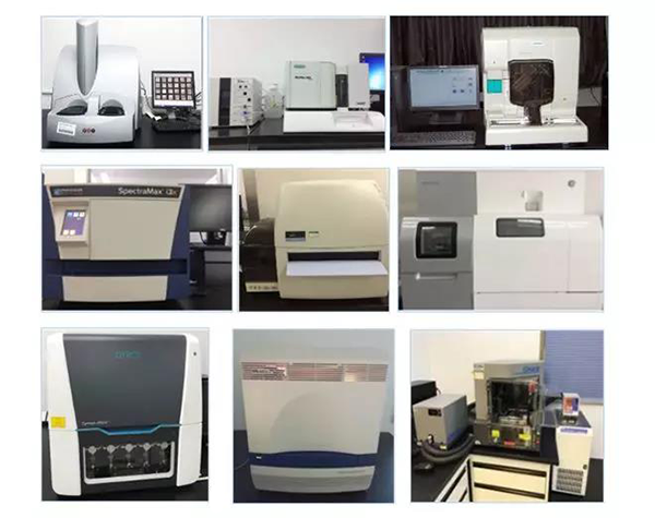 人生就是博生物技术药物分析部门拥有SpectraMaxM4/M5/i3x, MSD, Luminex, Biacore 8K, Envision, Gyrolab，ABI7500 qPCR等全方位多功能的技术平台，利用LIMS系统实施全面的实验室信息化管理，提供全面符合FDA/CFDA/OECD GLP规范要求的生物技术药物分析服务。