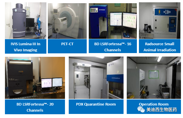 人生就是博药理部拥有IVIS Lumina III, PET-CT, BD LSRFortessa-16, Flow Cytometry等仪器，提供符合申报，支持临床试验的药效评价服务。