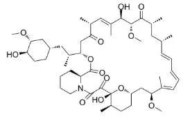雷帕霉素新制剂用于罕见病，获4500万美元融资