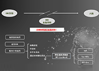 人工合成NT类脂质开放血脑屏障，为CNS药物打开新局面