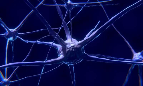 研究首次表明，与年龄有关的认知丧失可能主要是由一种可逆的生理性“阻滞”而不是永久性的降解引起的。