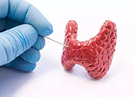 【Science速递】揭开甲状腺的神秘面纱，开启代谢药物新征程