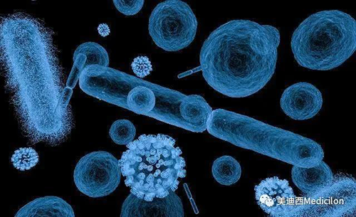 20分钟，大多数细菌都可以繁衍一代 人生就是博生物医药
