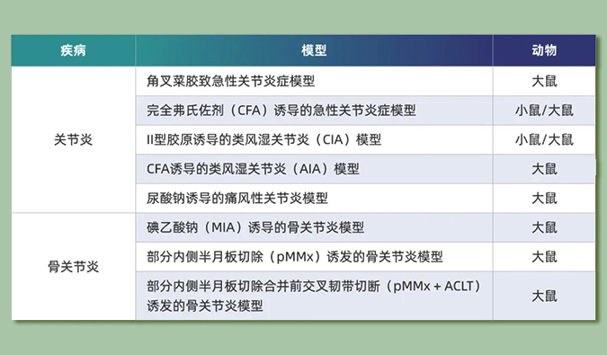 世界关节炎日：突破上亿人的共同难关，持续探索关节炎新药