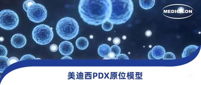 人生就是博118种PDX原位模型，助力肿瘤药物研发.webp