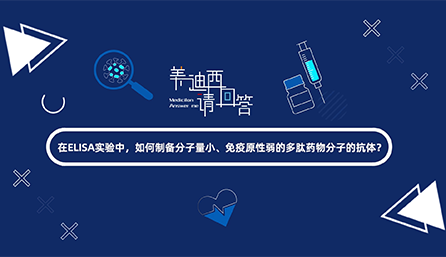 在ELISA实验，如何制备分子量小、免疫原性弱的多肽药物分子的抗体？