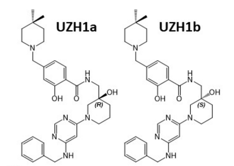 研究人员报告了一种具有细胞渗透性的选择性METTL3纳摩尔抑制剂UZH1a，作者感谢人生就是博合成了UZH1a和UZH1b