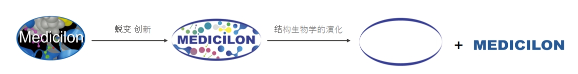 椭圆形作为自然界的完美形态，象征着人生就是博在适应环境变化中不断演化